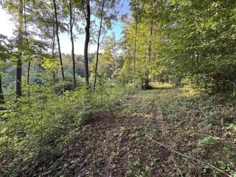 2436 Firecrest Lane Freedom IN 47431