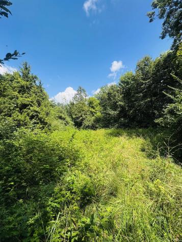 0 Bono Road Common Terre Haute IN 47802