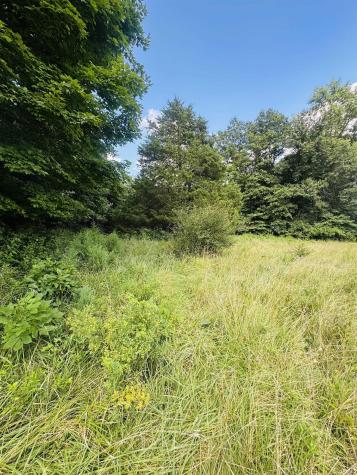 0 Bono Road Common Terre Haute IN 47802