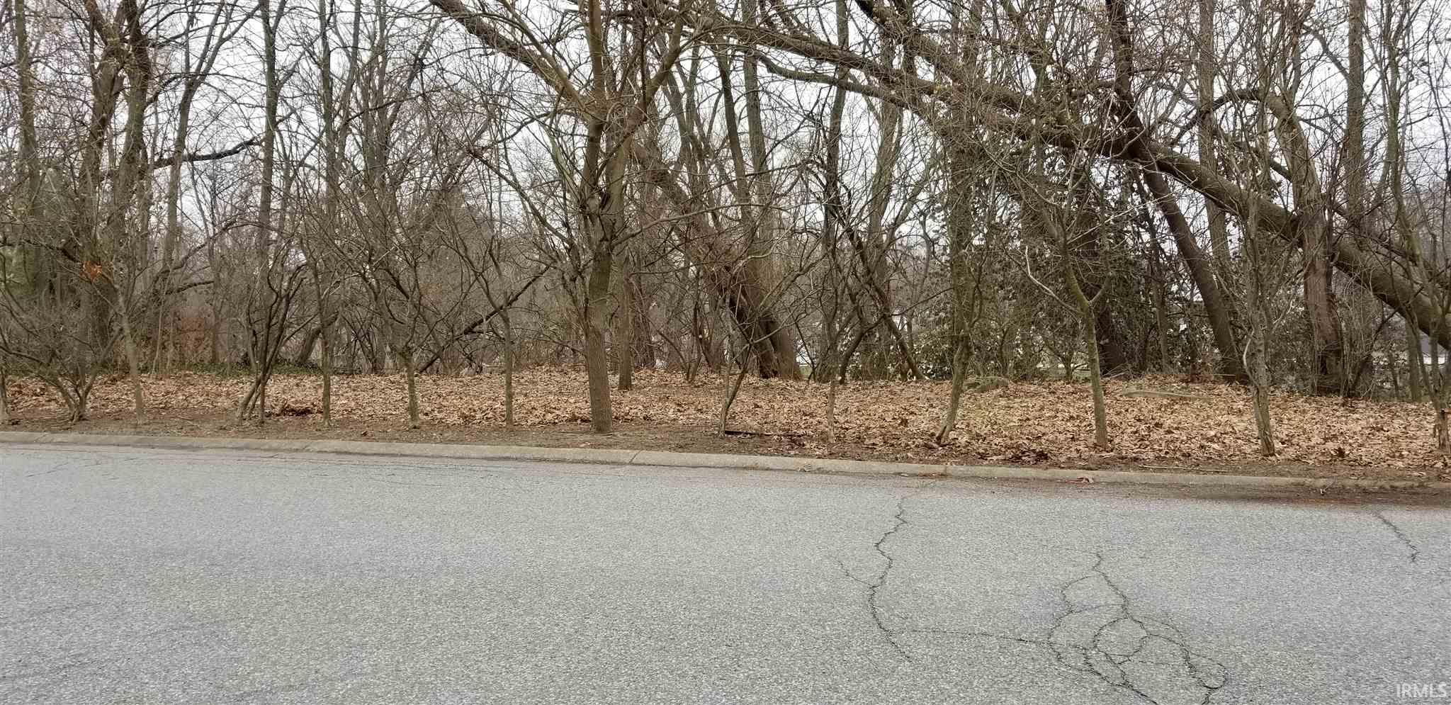 Lot 88 & Vac Hartman Drive South Bend IN 46617