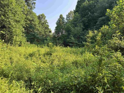 Brushy Fork Road Tell City IN 47586