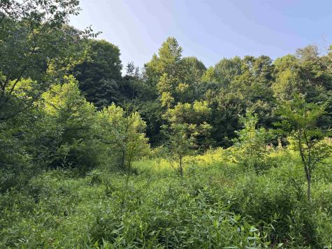 Brushy Fork Road Tell City IN 47586
