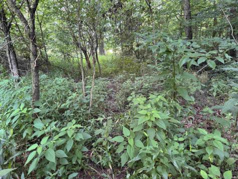 Brushy Fork Road Tell City IN 47586
