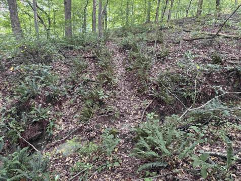 Brushy Fork Road Tell City IN 47586