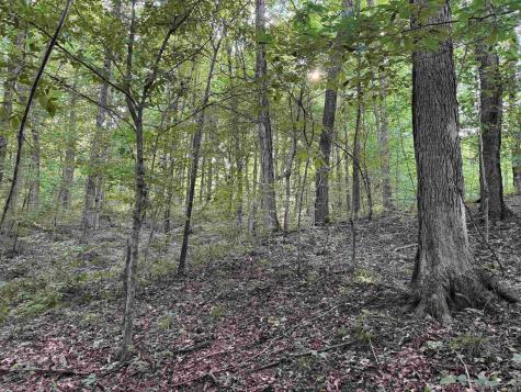 Brushy Fork Road Tell City IN 47586