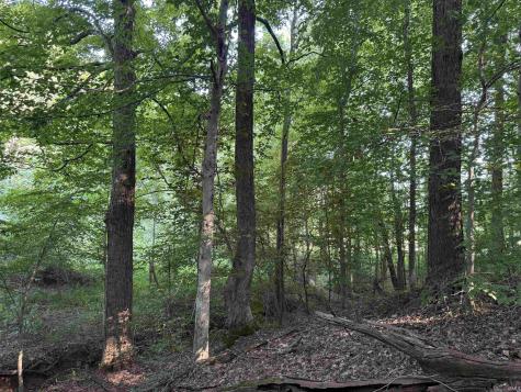 Brushy Fork Road Tell City IN 47586