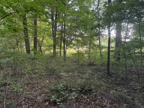 Brushy Fork Road Tell City IN 47586