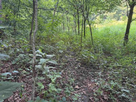 Brushy Fork Road Tell City IN 47586