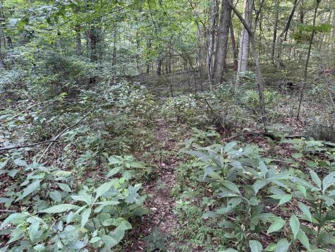 Brushy Fork Road Tell City IN 47586