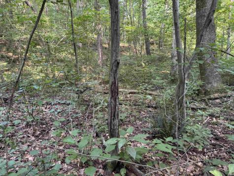 Brushy Fork Road Tell City IN 47586