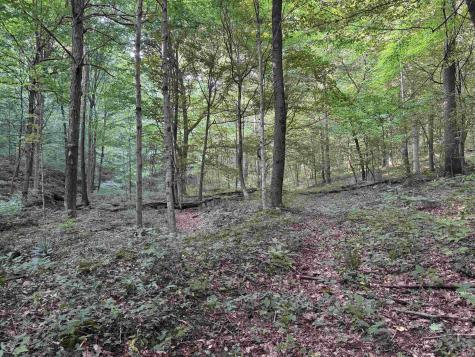 Brushy Fork Road Tell City IN 47586