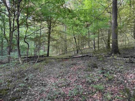 Brushy Fork Road Tell City IN 47586