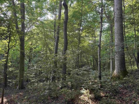 Brushy Fork Road Tell City IN 47586