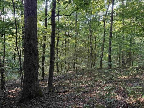 Brushy Fork Road Tell City IN 47586