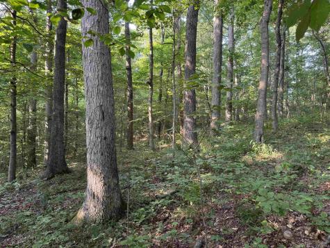 Brushy Fork Road Tell City IN 47586