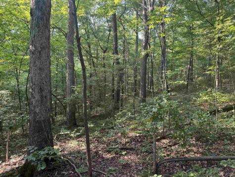 Brushy Fork Road Tell City IN 47586