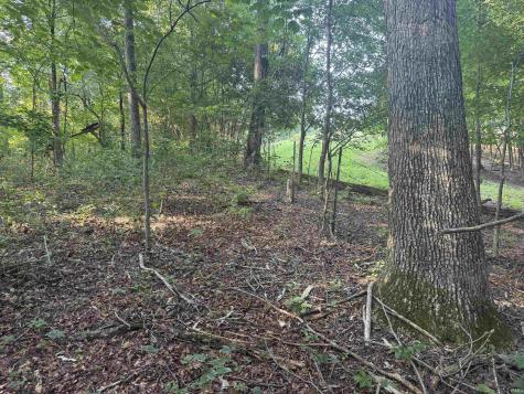 Brushy Fork Road Tell City IN 47586