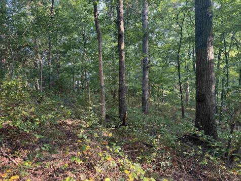 Brushy Fork Road Tell City IN 47586