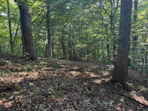 Brushy Fork Road Tell City IN 47586
