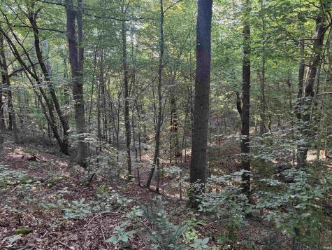 Brushy Fork Road Tell City IN 47586