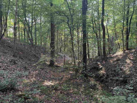 Brushy Fork Road Tell City IN 47586