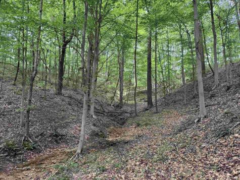 Brushy Fork Road Tell City IN 47586