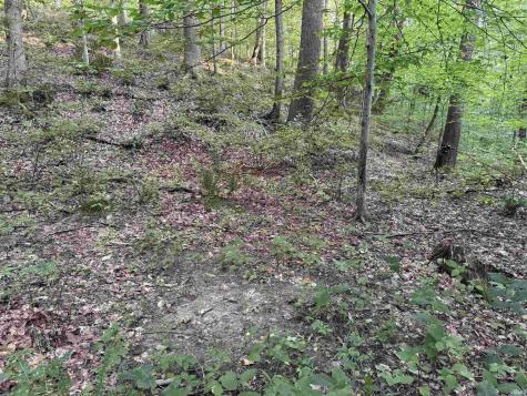 Brushy Fork Road Tell City IN 47586