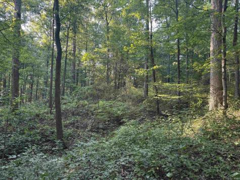 Brushy Fork Road Tell City IN 47586