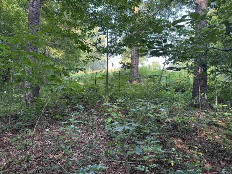 Brushy Fork Road Tell City IN 47586