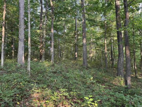 Brushy Fork Road Tell City IN 47586