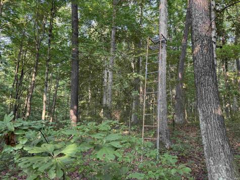 Brushy Fork Road Tell City IN 47586