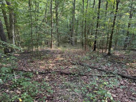 Brushy Fork Road Tell City IN 47586