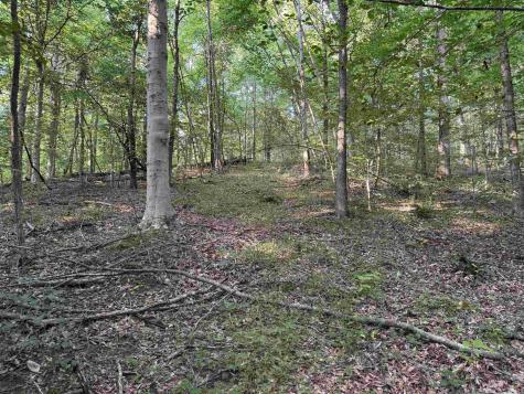 Brushy Fork Road Tell City IN 47586