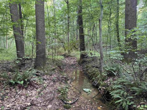 Brushy Fork Road Tell City IN 47586