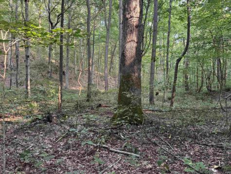 Brushy Fork Road Tell City IN 47586