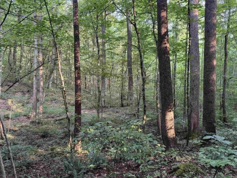 Brushy Fork Road Tell City IN 47586