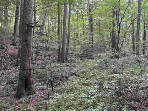 Brushy Fork Road Tell City IN 47586