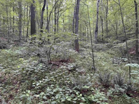 Brushy Fork Road Tell City IN 47586
