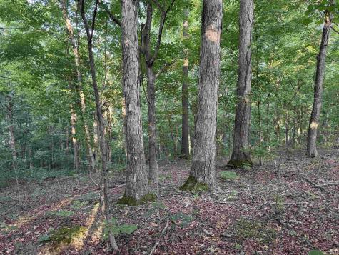 Brushy Fork Road Tell City IN 47586