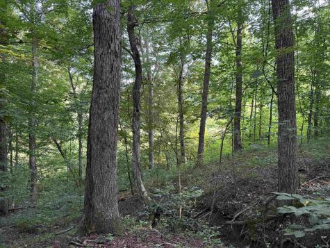 Brushy Fork Road Tell City IN 47586