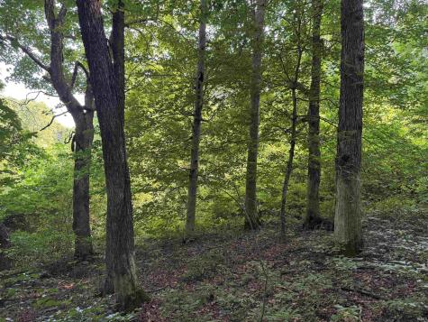 Brushy Fork Road Tell City IN 47586