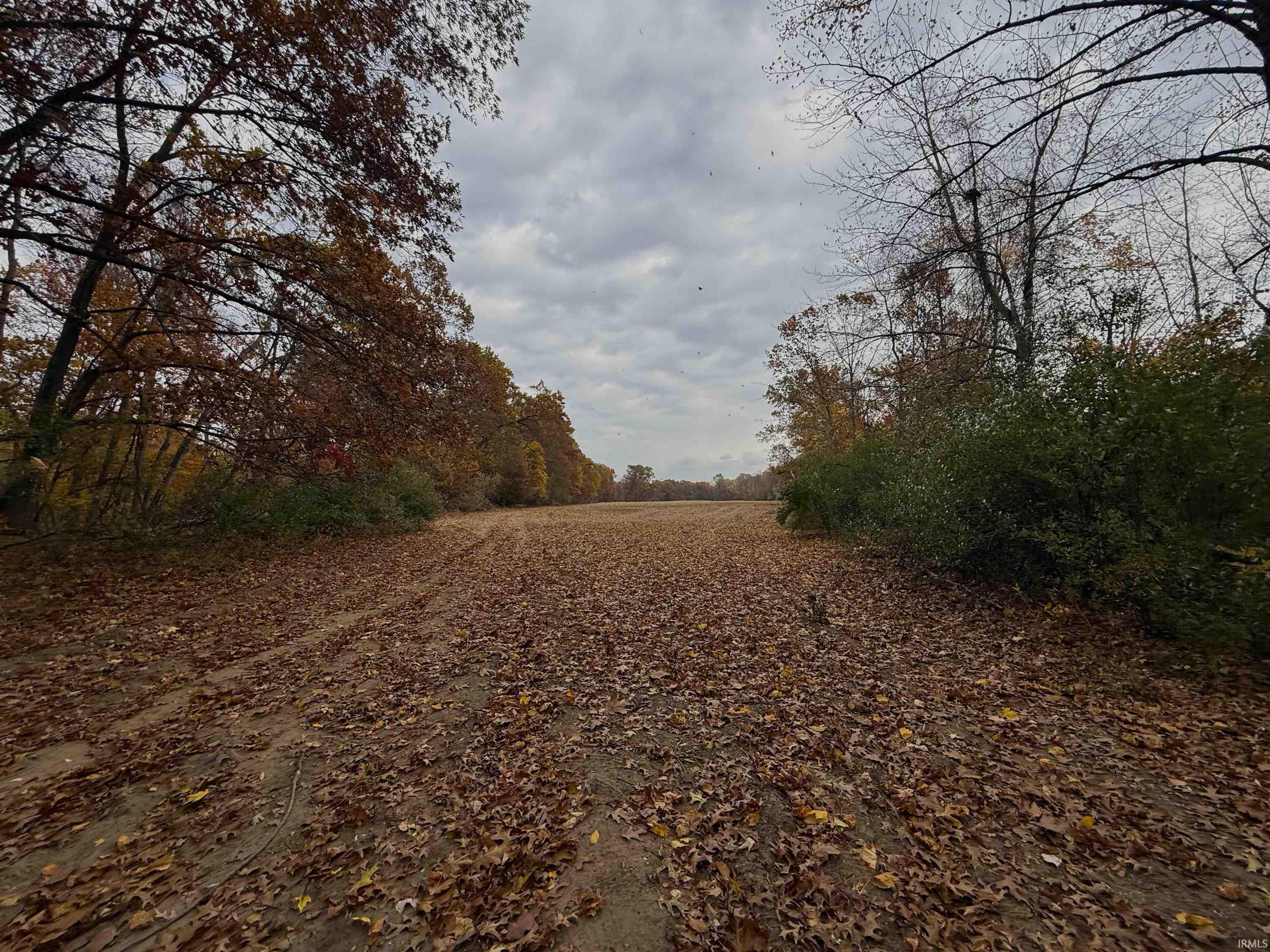 V/l N 600 W Michigan City IN 46360