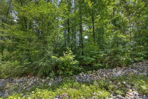 Tbd Riley Blvd Lot 5 Bedford IN 47421