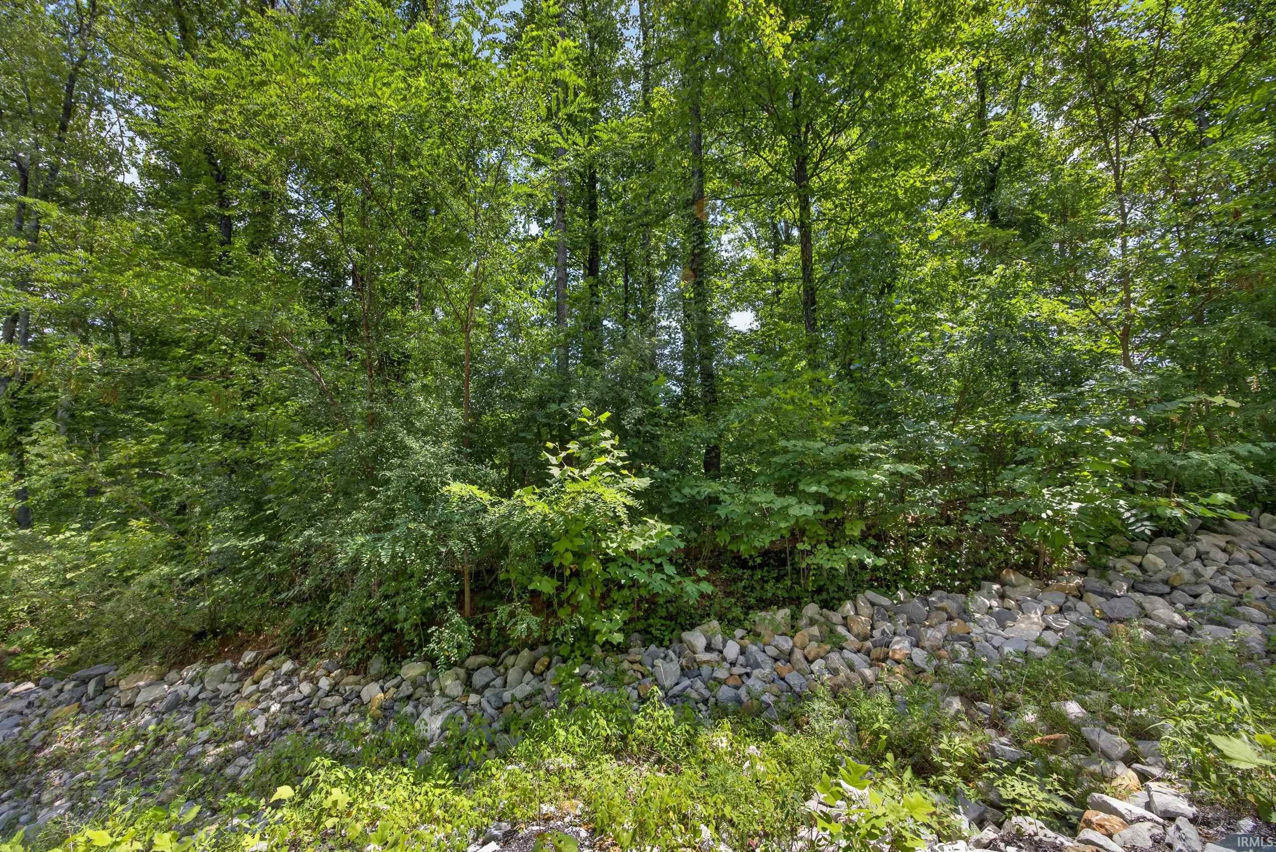 Tbd Riley Blvd Lot 5 Bedford IN 47421