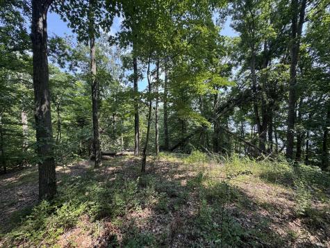 Lot 8 S Shady Side Drive Bloomington IN 47401