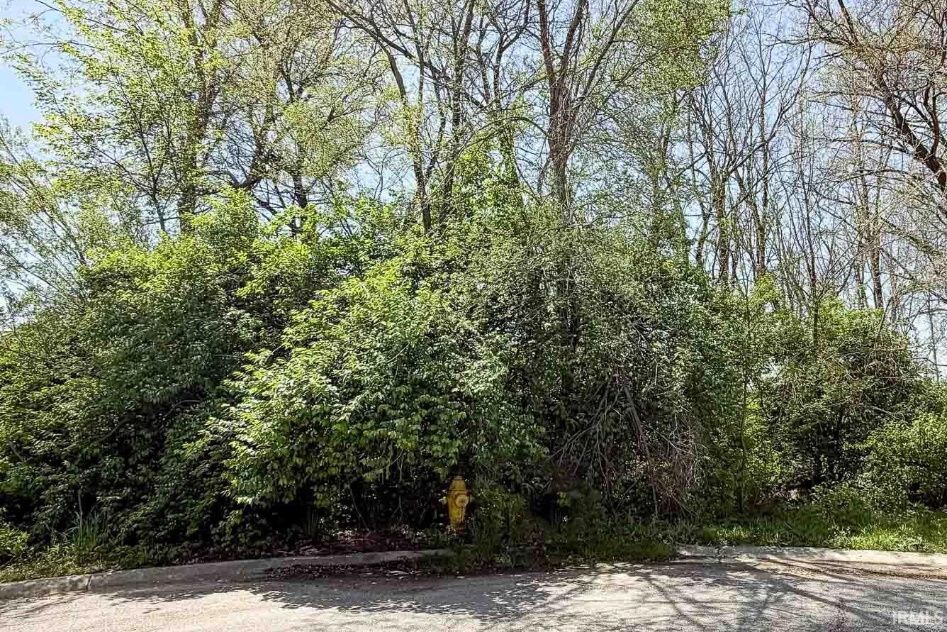 53468 Old Woodbridge Court South Bend IN 46637