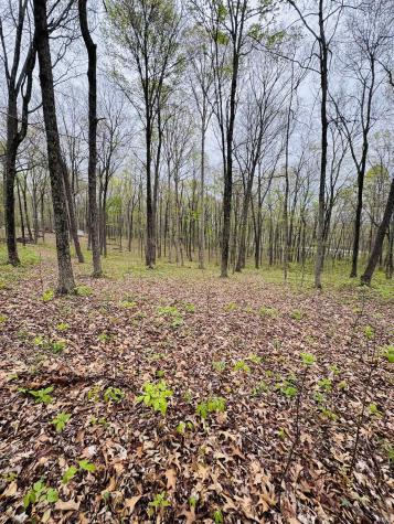 Tract 3 E Pine Road Common Bloomfield IN 47424