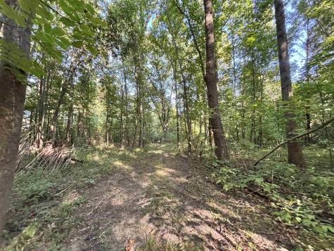 00 State Road 59 Jasonville IN 47438