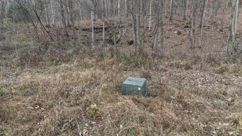 31 Poplar Ridge Springville IN 47462