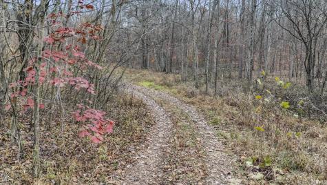 31 Poplar Ridge Springville IN 47462